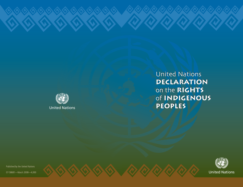United Nations declaration on the Rights of Indigenous Peoples cover
