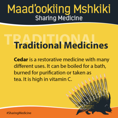 traditional medications 
