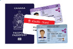 passport and ID icon