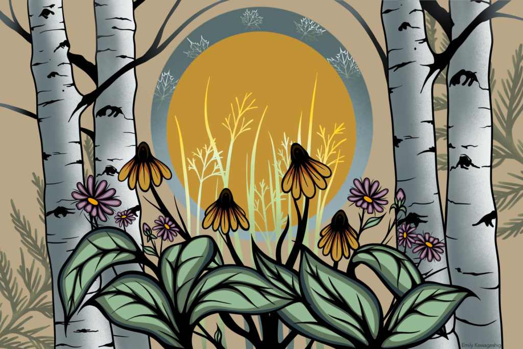illustration of flowers and tree trunks