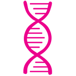 DNA Strand icon